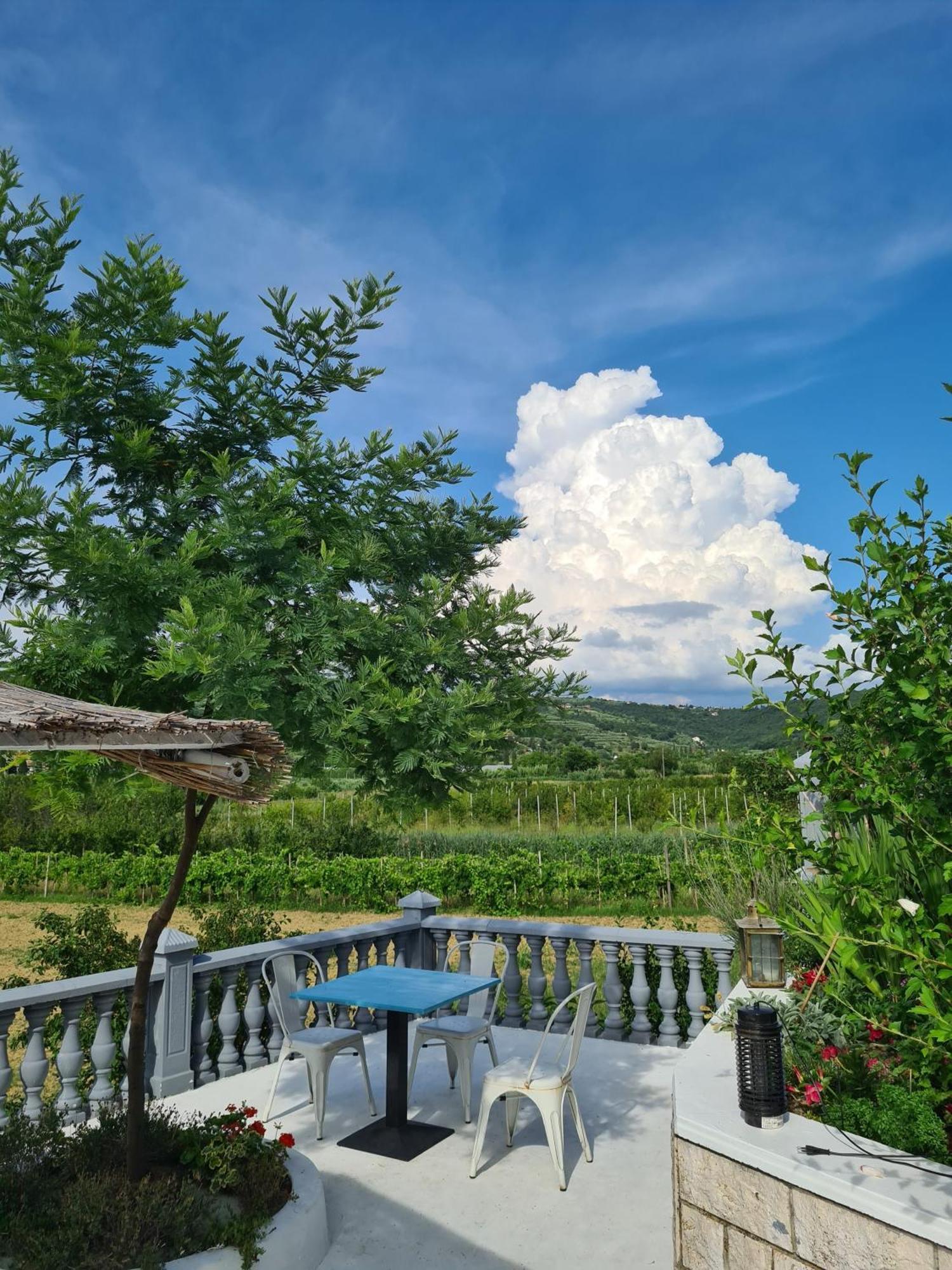 Sečovlje Guesthouse Sole מראה חיצוני תמונה